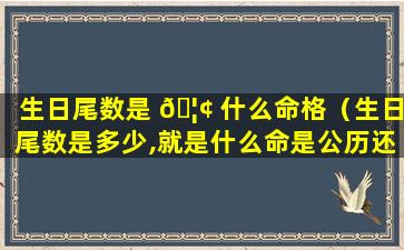 生日尾数是 🦢 什么命格（生日尾数是多少,就是什么命是公历还是农历）